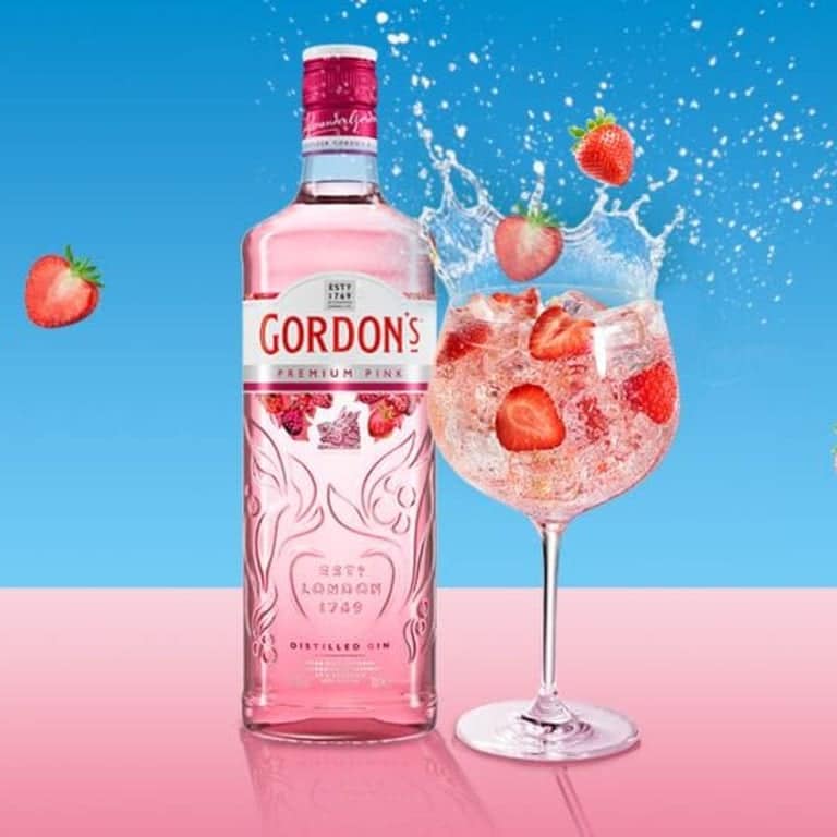GIN TONIC de Frutos Rojos